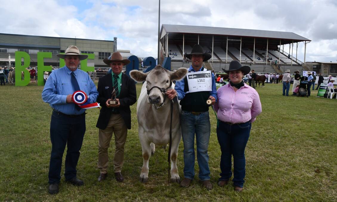 Murray Grey grand champion female Maefair Lucy T50 with Murray Grey Society president John Contarino, Nutrien Ag Solution's Mark Scown, handler Stuart Hobbs and Murray Grey Society's Maddie Brockhoff. Picture: Judith Maizey