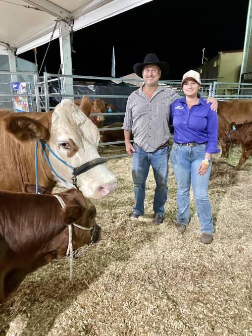 Paul Laycock and his daughter, Steph, with some of the cattle they purchased at the Savannah Simmentals and Simbrahs Rocky Red Sale. Picture: Judith Maizey