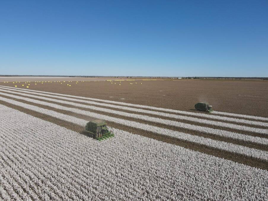 Namoi Cotton account manager Jock Jackson said 90 per cent of growers in the Border Rivers region had yet to commence harvesting. Picture: Supplied.