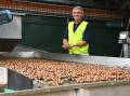 Suncoast Gold Macadamias general manager Julian Lancaster-Smith at their processing plant in Gympie. Picture by: Kelly Mason