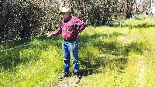 Mick Muir sought to protect his pastures after bushfire caused nearly $500,000 in damage to fencing and other infrastructure