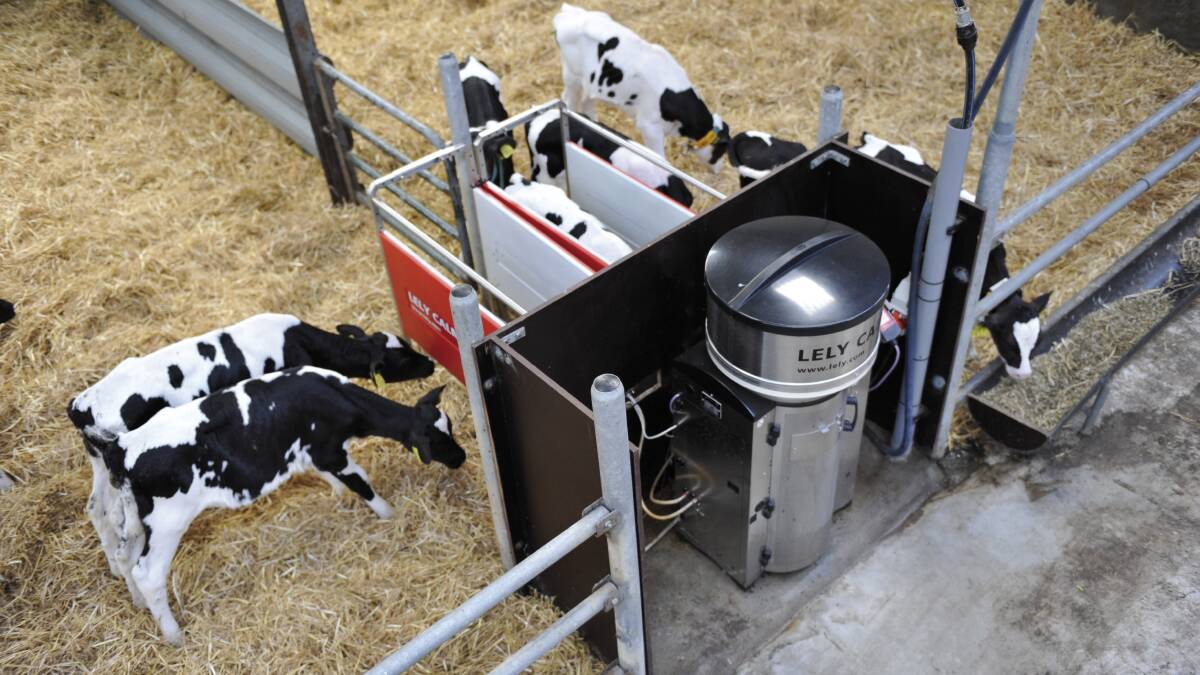 Lely's automated calf feeder provides exactly the amount of milk needed at the right temperature.