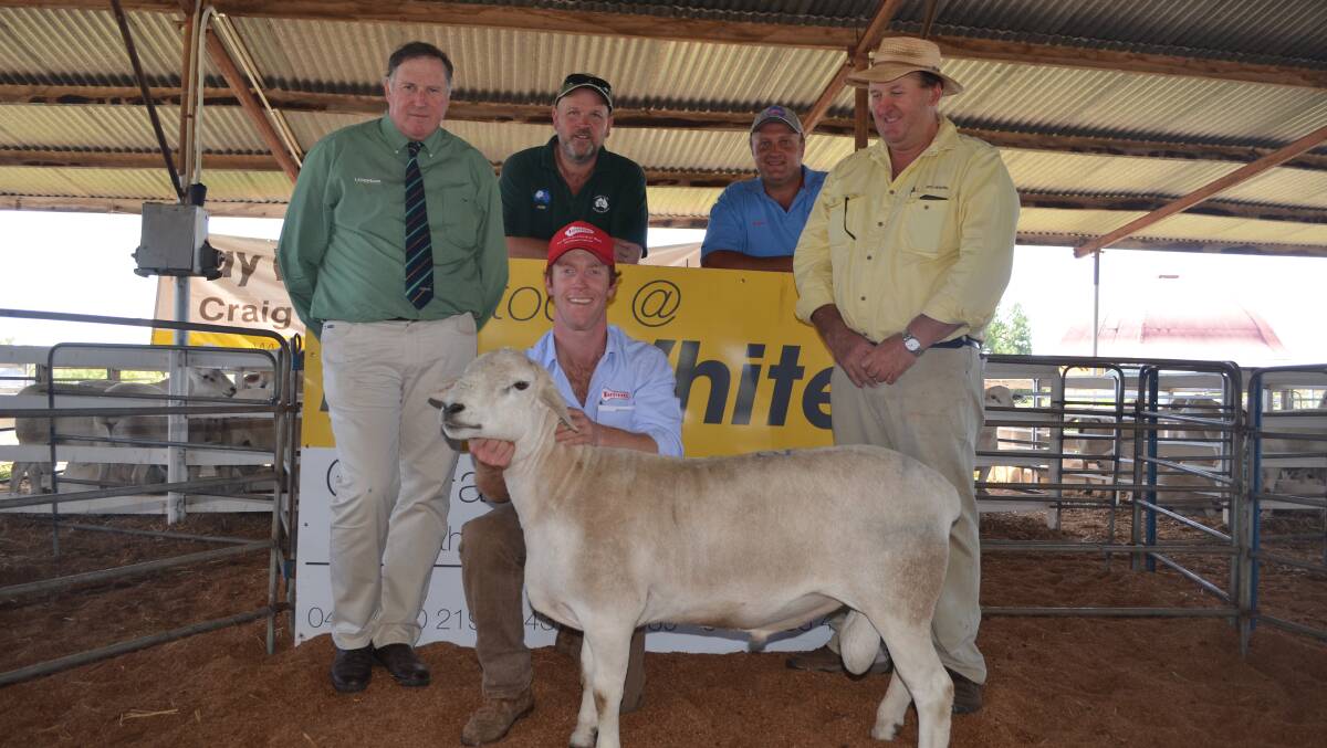 With the top priced ram sold on account Tattykeel stud, Oberon - Landmark sheep specialist, Stephen Chalmers; Josh Clinton, Camden Valley stud, The Oaks; Robert Gilmore, Ardess stud, Oberon; Craig Pellow, Ray White Rural, Temora, and James Gilmore, Tattykeel stud, Oberon, holding the ram.