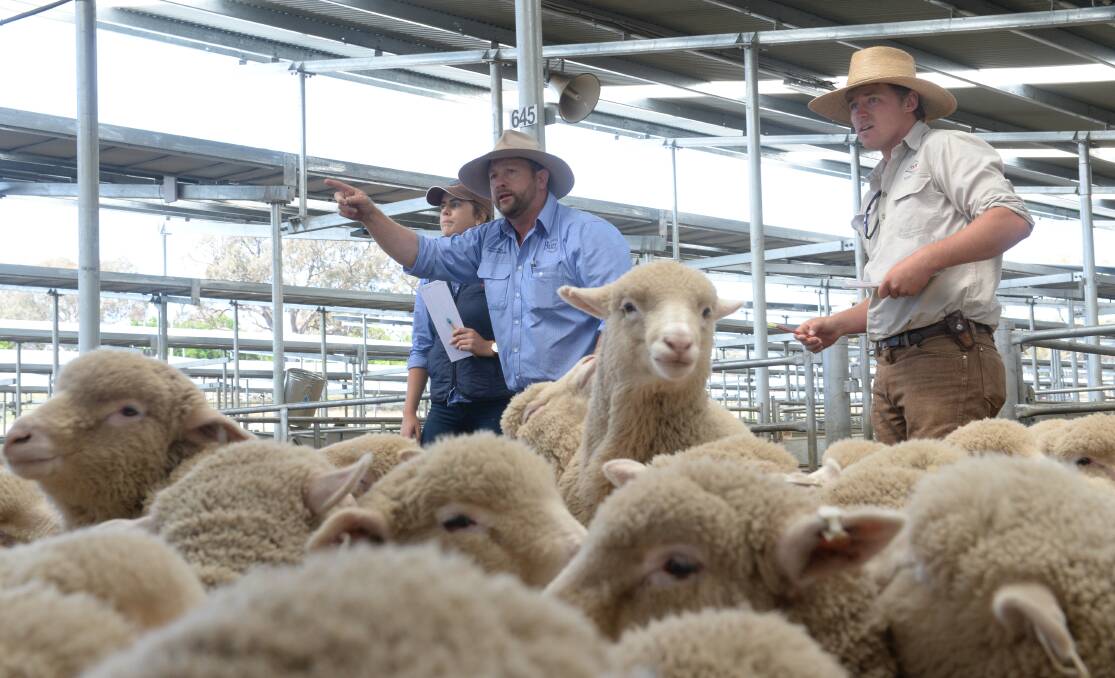 Big year tipped for ag investment
