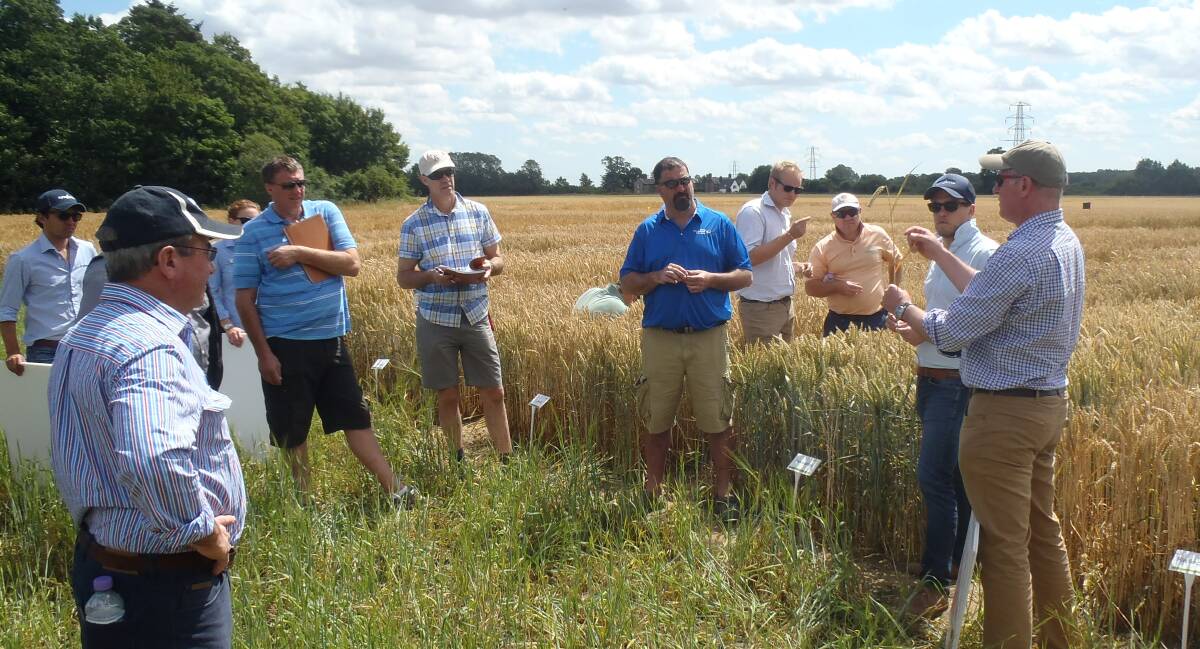 Syngenta Growth Awards winners from Australia and New Zealand inspect UK cereal trials in 2015.