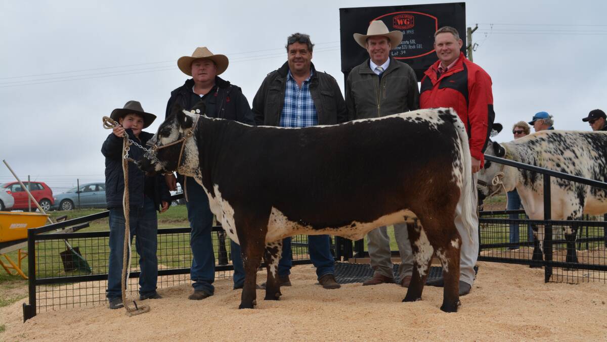 Max (10) and father Dale Humphries, Wattle Grove Speckle Parkes; with purchaser of the $28,000 top price heifer Chris Partington, Crocodile Creek, Megalong Valley; auctioneer Paul Dooley, and Elders Bathurst branch manager Andrew Bickford. 