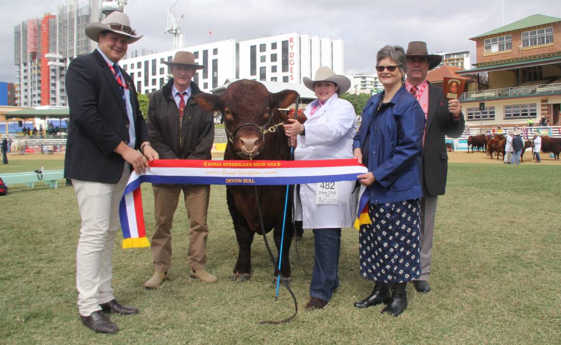 Charles Green, owner Malcolm Wood, fitter Jodie Weller, Loma Wright and Elder's Brian Kennedy with the grand champion Devon bull, Ashwood Knockout, Ashwood Devons.