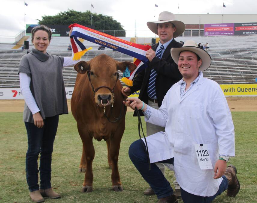 Tristan Anderson, Nudgee College, holds the grand champion Senepol female Wiangaree Park L0005, with judge Andrew Raff, Raff Angus, and his wife Anna Raff.