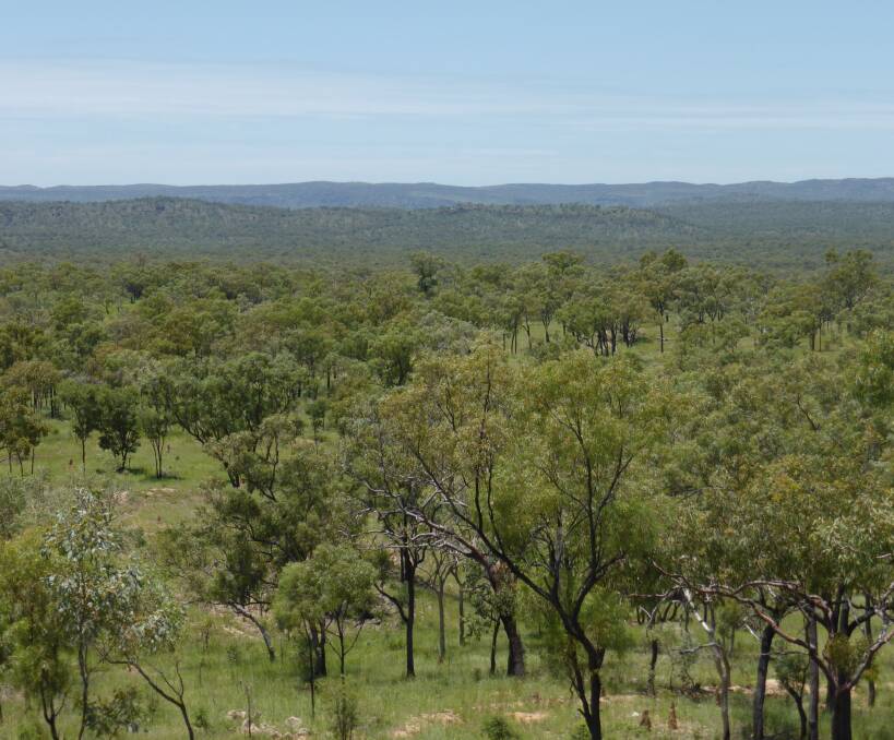 Submissions to the Agriculture and Environment Committee on the Palaszczuk Government’s proposed changes to the Vegetation Management Act and Framework close on 25 April.