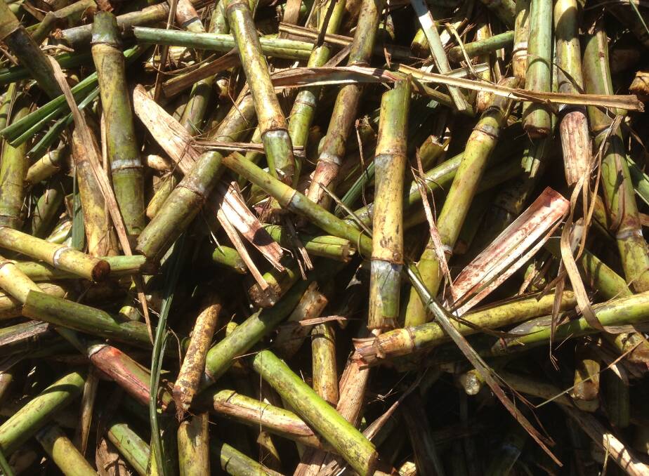Forums will take place in Gordonvale and Tully later this month to allow the cane industry an opportunity to have its stay on future sugar research priorities.