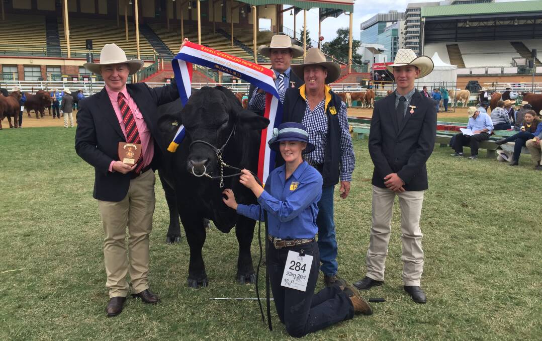 Lucy Roche proudly displays Dynamite Kryptonite her grand champion Brangus bulll at the Royal Queensland Exhibition with Elders' Andrew Meara, judge Brad Hanson, Peter Dingle and associate judge Grady Hansen.