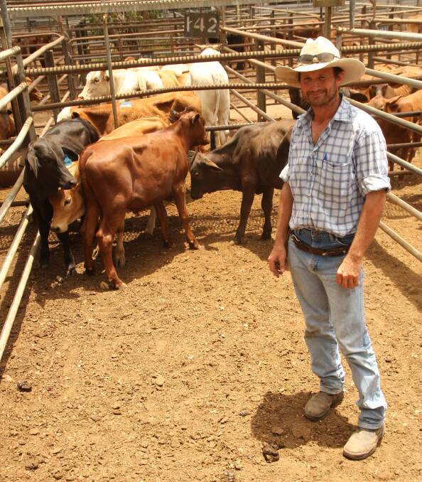Dimbulah cattle producer Kevin Taylor's pen of four steers fetched 294c/kg at the Mareeba Sale on Tuesday. Areas near Dimbulah are drought declared. 