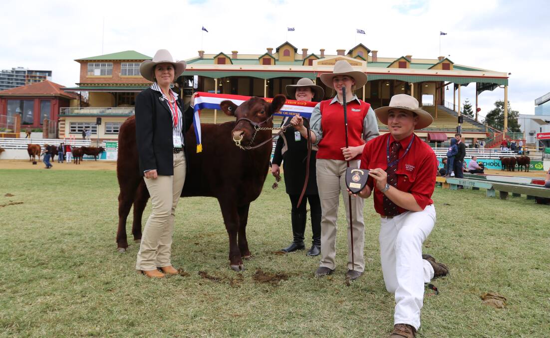 Associate judge Eliza Cunningham, Emily Perkins, handler Layla Williams and owner Tim Light, with grand champion Red Poll cow Lagoona Nichola.