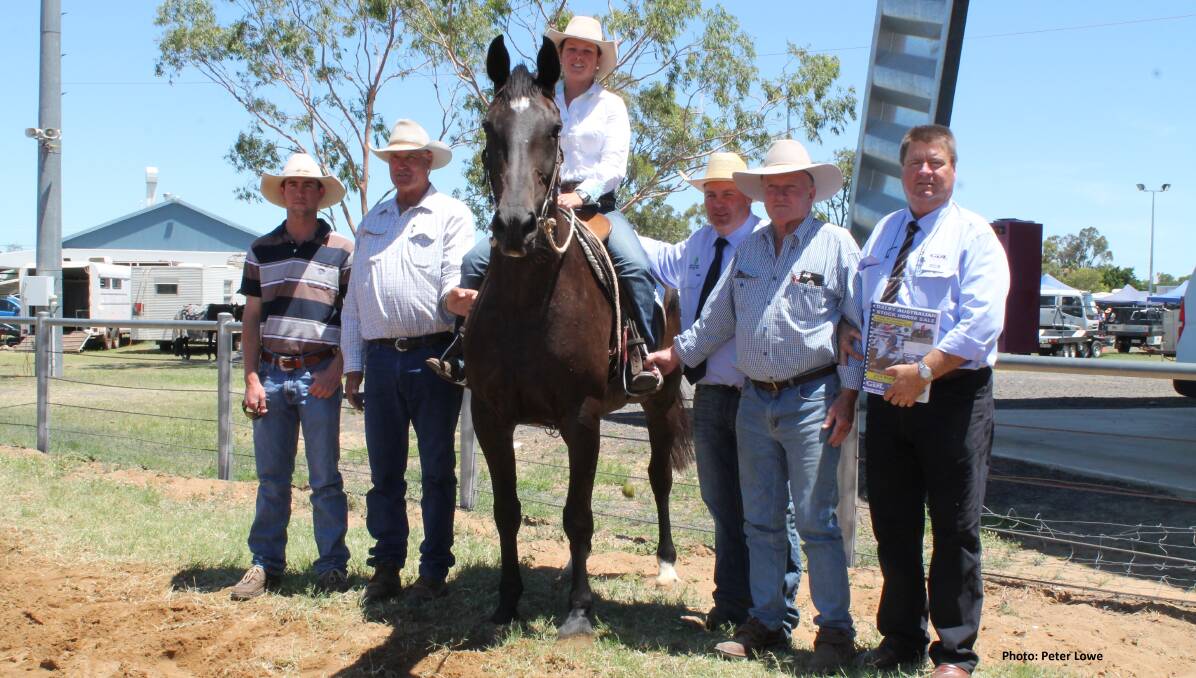 2015: Ashley Harrison & Wayne Dennien bought last year's top-priced mare, ridden by Claire Brown, with Jim Ryan, Phillip Kirkby & Peter Brazier.