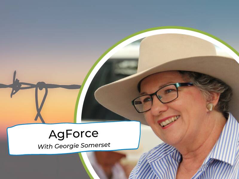 AgForce strengthening ties with agriculture in south-west Queensland