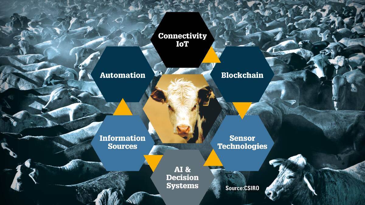 Digital livestock world: Where we should be heading