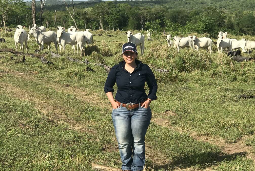 Kirsty McCormack with a herd of Nellore cattle, the main breed across Paraguay and Brazil. 