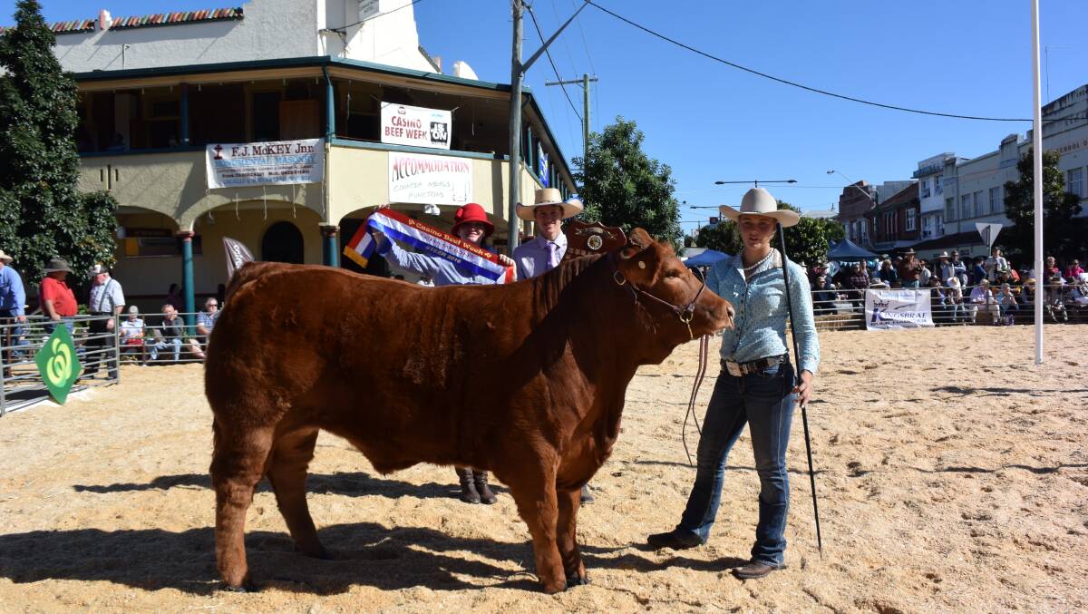 The 2016 Champion Led Steer at Casino Beef Week, a purebred Limousin from David (pictured) and Scott Bartley's "Corndale" at Warwick, Queensland, led by Katie Grimmett, Woodenbong. The ribbon is presented by Beef Week cattle events co-ordinator Belinda Dockrill.