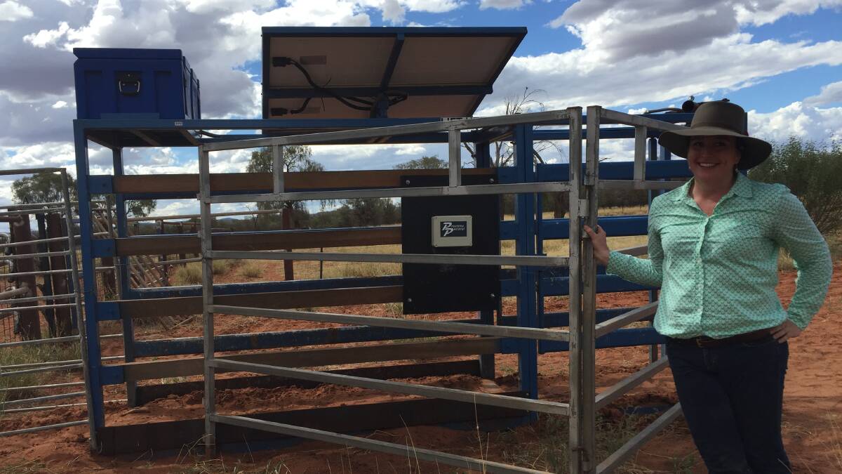 PPMS research leader Sally Leigo with the hardware component of the high-tech package, the remote livestock management system, which is now a commercial product.