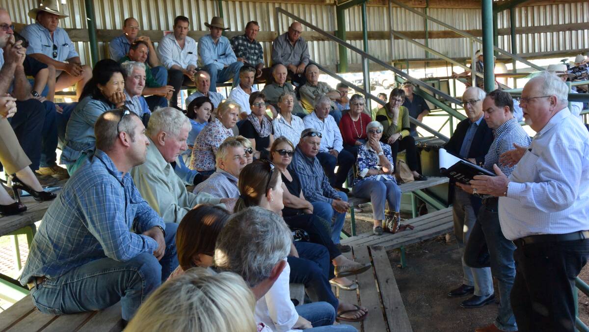 Senator Barry O'Sullivan addresses beef producers in Queensland late last year, along with processing sector representatives.