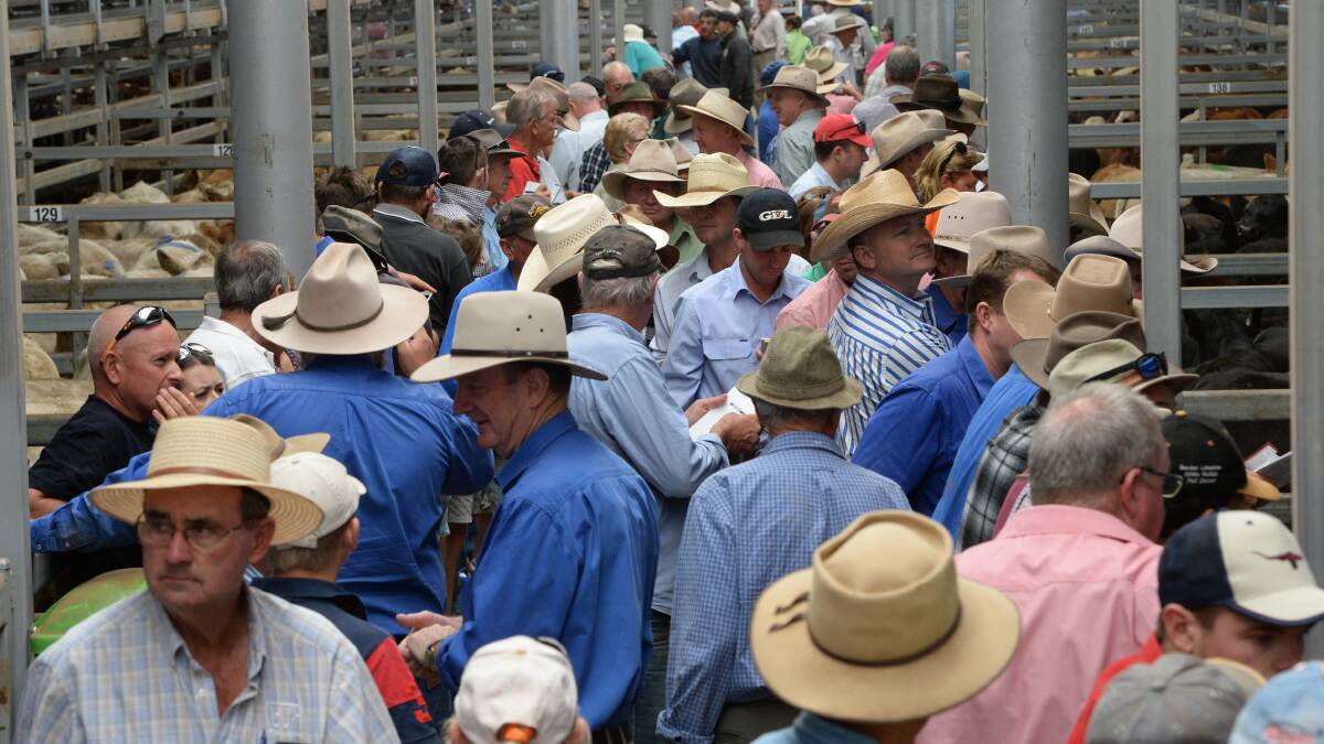 They're busy places but will Australia's saleyards be a major livestock selling and buying model in the future? 