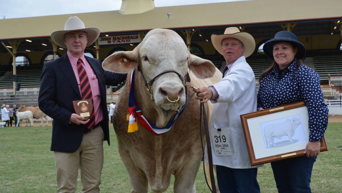 Grand Champion Charbray bull Kandanga Valley Jesuit, led by Les Lee, Leegra Fitting, with owner Roz Mercer, Kandanga Valley Stud at Kandanga and Andrew Meara, Elders Stud Stock, Toowoomba.