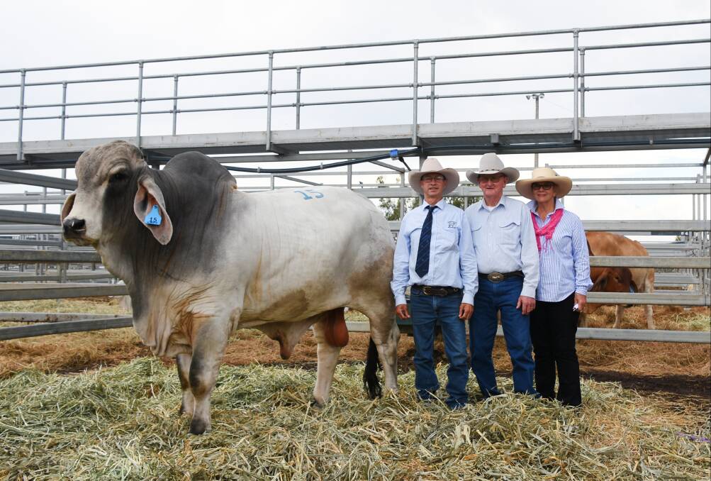 The second-top seller at $110,000 was Lancefield S Morgan 5879/1 (PS), pictured with vendor Scott McCamley, Lancefield stud, Dululu, and new owners Kelvin and Margaret Maloney, Kenilworth Brahmans, Mt Coolon. 