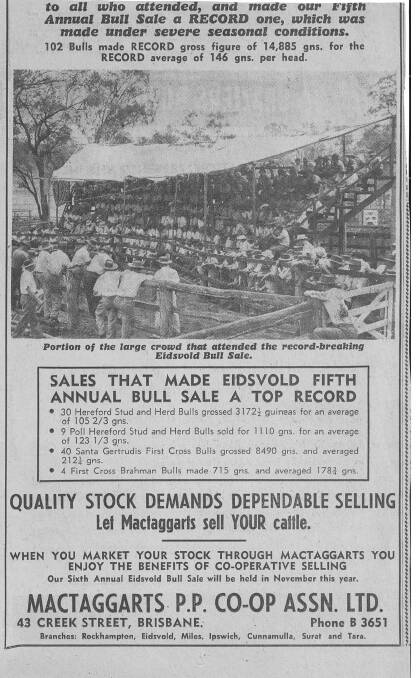 A QCL paper advertisement of the Eidsvold bull sale.