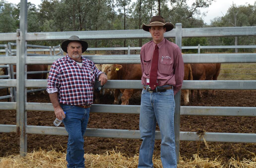 Repeat buyer Chris Strahle, Clerkness, Bundarra, NSW with auctioneer Robbie Bloch, C.L Squires & Co.
