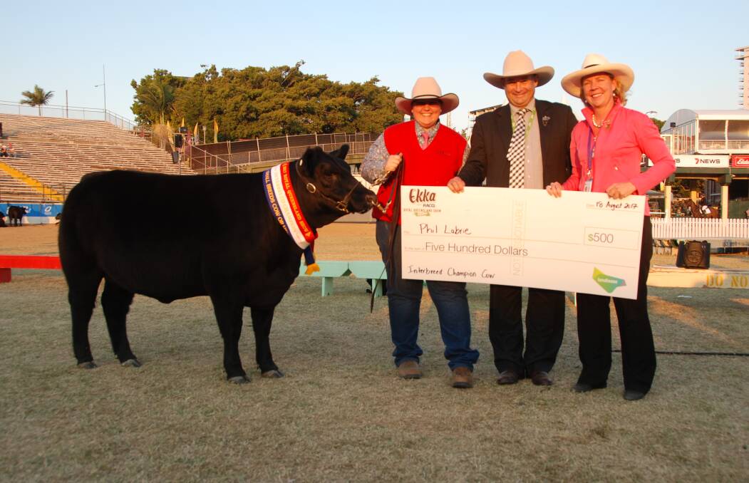 Interbreed small cattle female champion Ausline Jinghi Gully Jipsey Rose with handler Rebecca Janke, RNA councilors Gary Noller and Liz Allen.