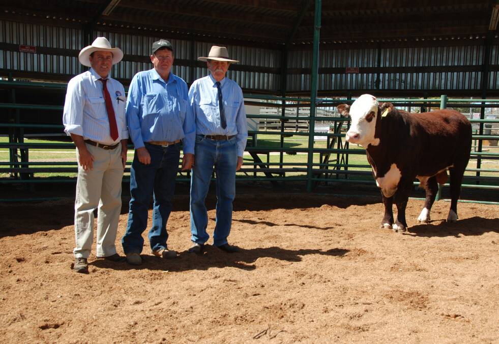 Top price bull Trefoil Park Baird L9 with Steven Goodhew, buyer Greg Joliffe and Rod Alexander, Trefoil Park.
