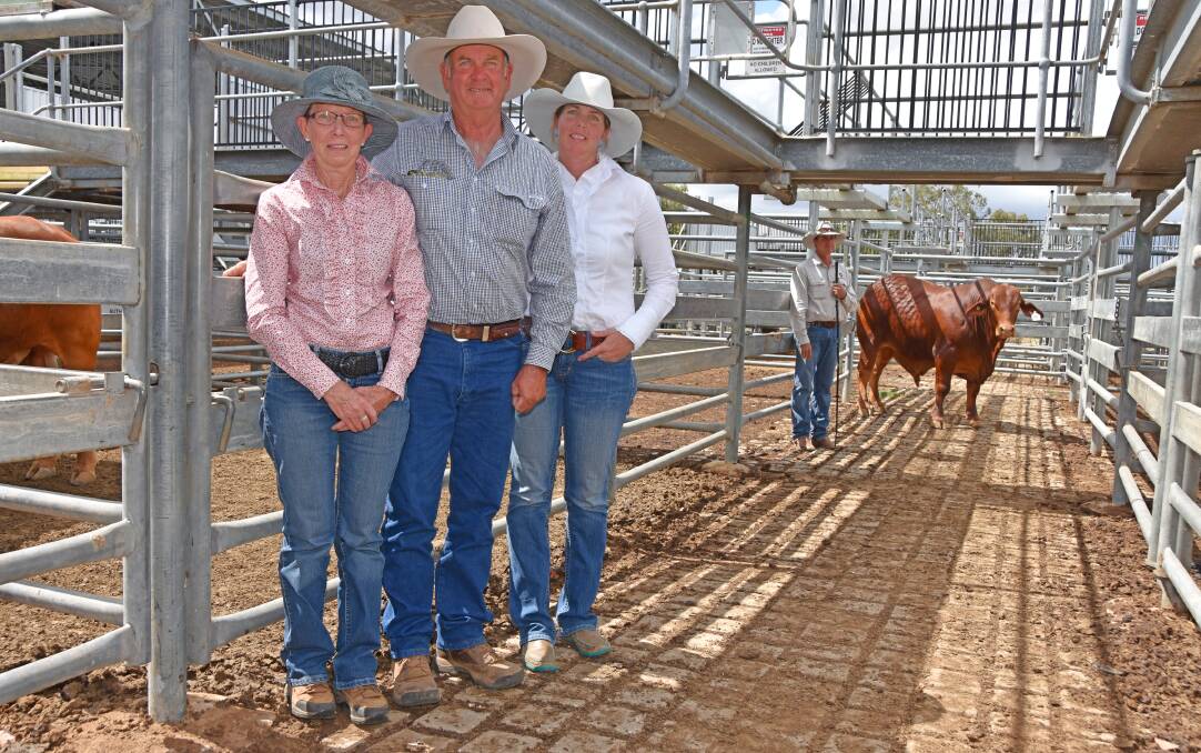 Jenny and Lance Muller, Orchid Vale, Rolleston, with vendors Leesa and Kevin Woolcock, Mostyndale Droughtmaster Stud, Springsure and top priced bull Mostyndale 784 (P).
