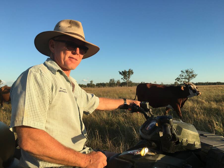 Mick Alexander has decided to focus on the nutrition of his cattle herd rather than use other methods of animal health management. - Photos supplied.