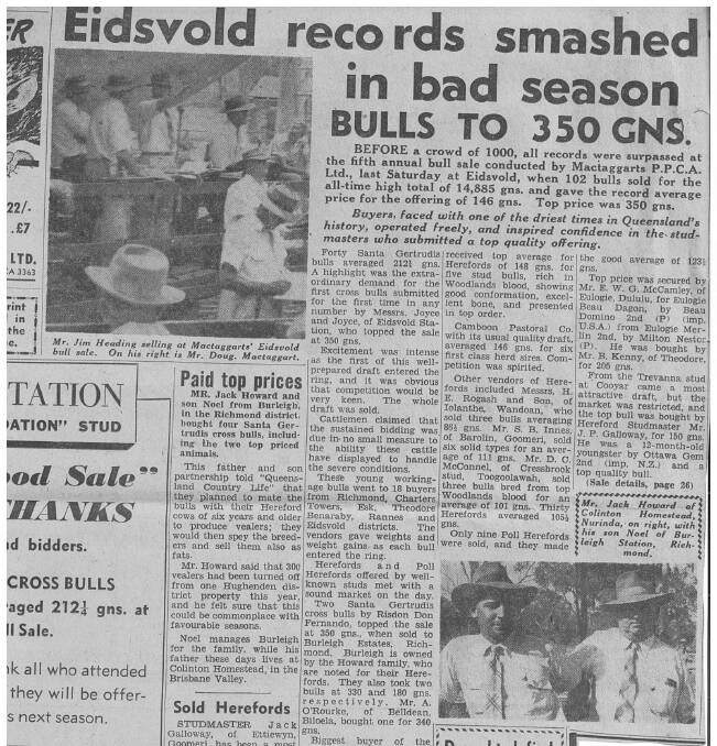 QCL's coverage of the Eidsvold bull sale. 
