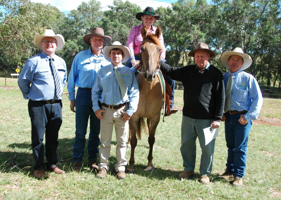 Top priced stock horse Kooloombah Sandlewood sold for $6500 and is ridden by Toni Fallon with GDL's Harvey Weyman-Jones, owner Quentin Szery, Midge Thompson, Aussie Land & Livestock, buyer Tom Perrett and James Bredhauer.