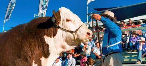 Beef 2018 cattle event nominations start closing in Feburay. 