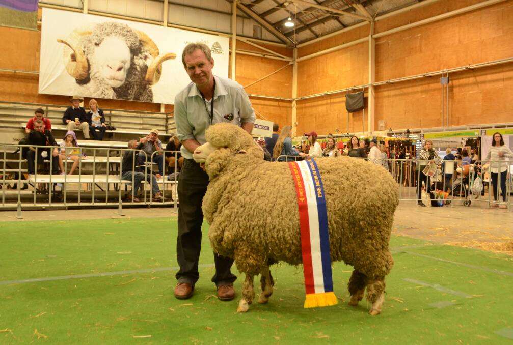 Andrew Davis, Demondrille Merinos, Harden, New South Wales with his Grand fine/medium wool ewe also judged Champion March-shorn fine/medium wool ewe.