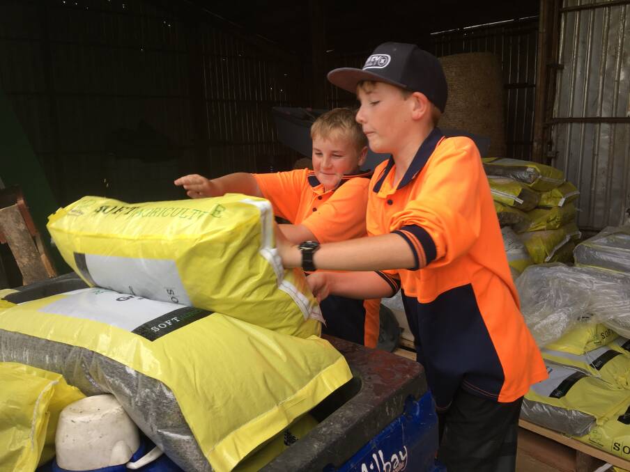 Mathew and Lachlan Alexander helping feed the cattle.