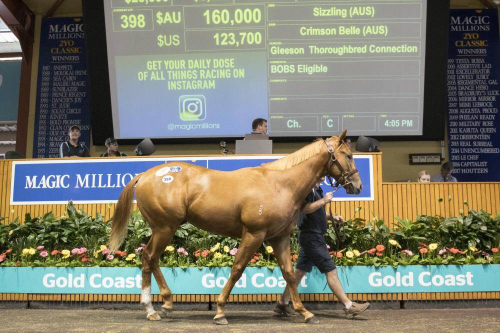 Son of first season sire Sizzling sells to $160,000 at 2017 Gold Coast Magic Millions March yearling sale.