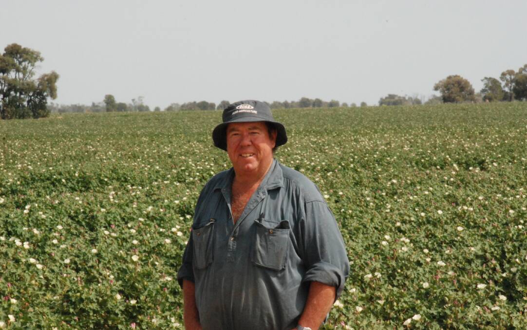 Grant Borchardt, The Deep, Tara hopes to achieve a reasonable dryland cotton crop picking in April after 40mm of rain last night.