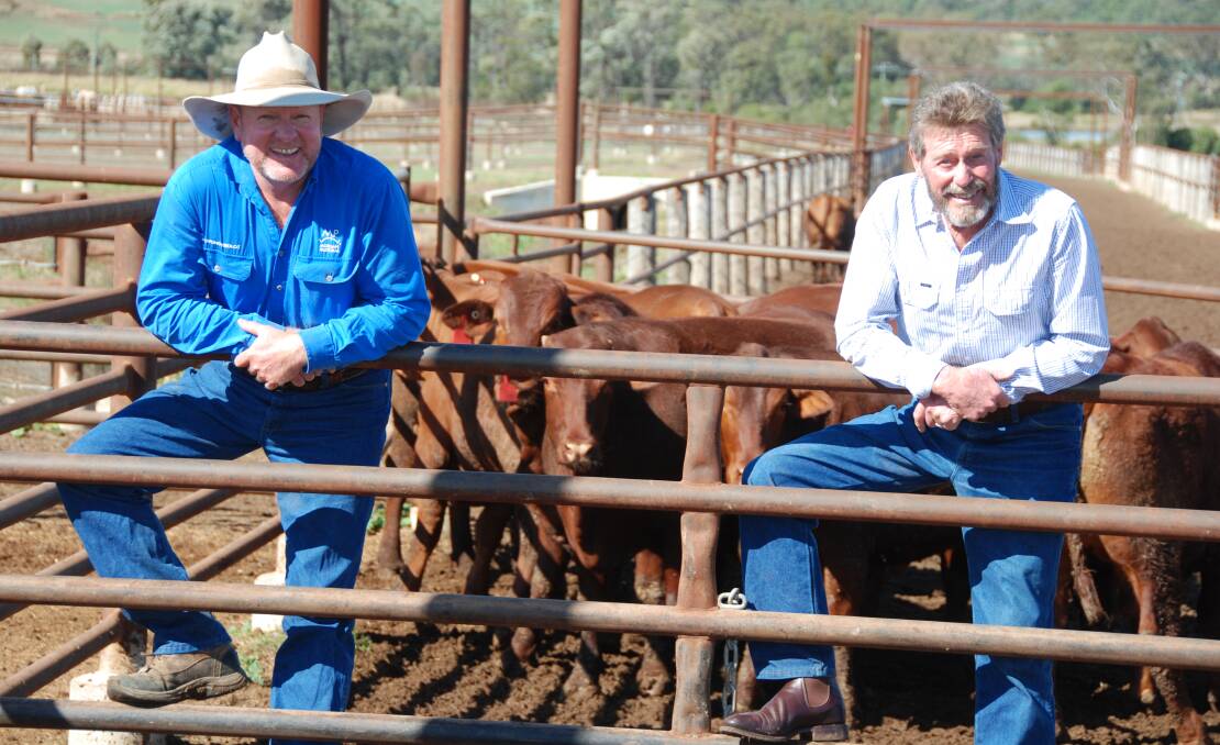 Kurrawong Feedlot manager Michael Green and Western Downs Santa Group's Frank Ashman with this year's 'Win a Pen of Santa Steers'.
