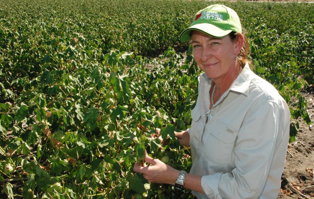 Cotton Australia's Darling Downs regional manager Mary O’Brien says the situation is getting desperate for dryland cotton growers across the region.