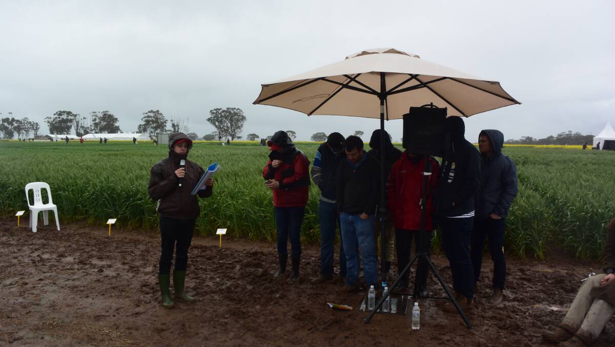 Hardy presenter Tim McClelland addresses the crowd huddled under shelter at a soggy Birchip Cropping Group (BCG) main field day earlier in the month.