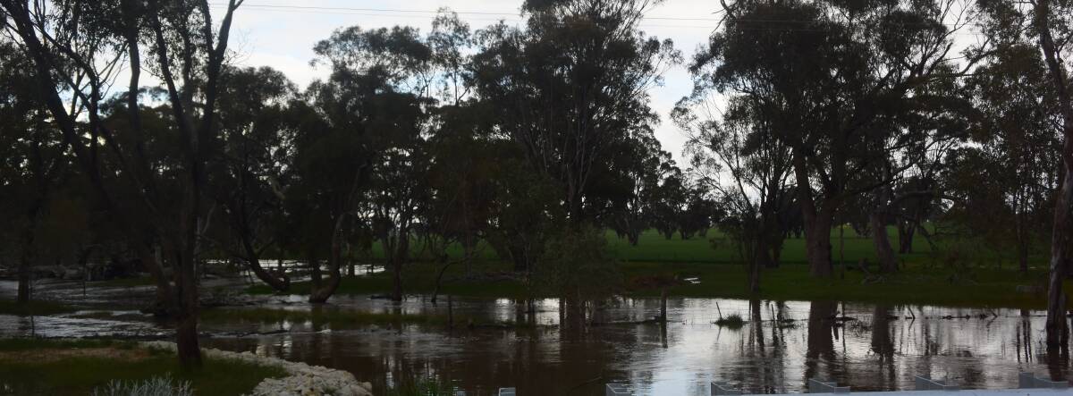 Wet conditions such as these captured in Victoria last spring are unlikely this year according to early climate forecasts.
