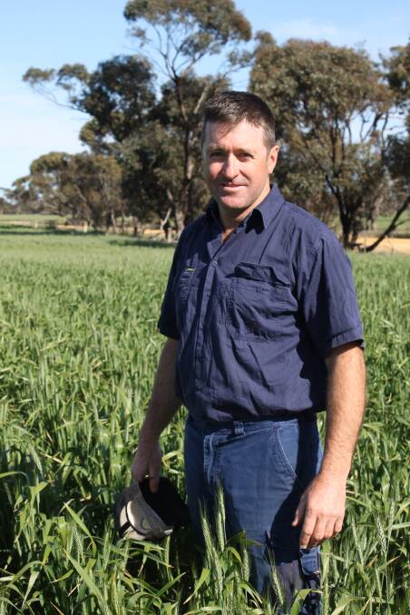 Cameron Penny, Warracknabeal, says crops in the northern Wimmera are in good shape leading into the business end of the year. 