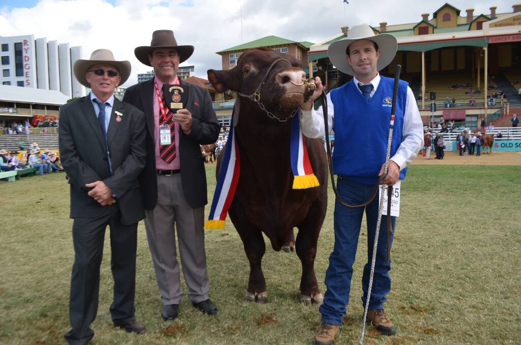 Shorthorn judge Steve Crowley, Tycolah Poll Hereford Stud, Barraba with Brian Kennedy, Elders Stud Stock Armidale, grand champion bull Marellan Queensland Red (P) (ET) (AI), from Lincoln and Lisa Job, Marellan Shorthorns, Emerald (not pictured) and presenter Anthony Flint,Warwick.