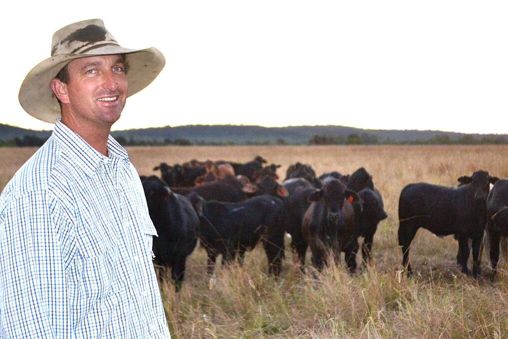 Brangus allure: David Howard from Coorumburra Rural Enterprise, near Rockhampton has  been purchasing Brangus bulls for several years to put over his mainly Brahman cows with the aim of eventually going full Brangus.