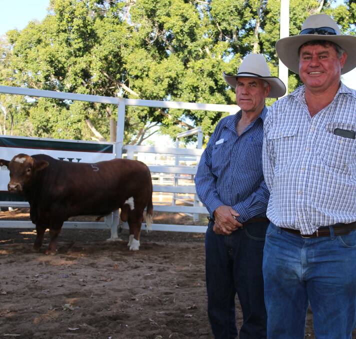 Billa Park Simmental Bull Sale, $11,000 bull Lucrana Kenworth with vendor Andrew Moore and buyer Jack Burnett.