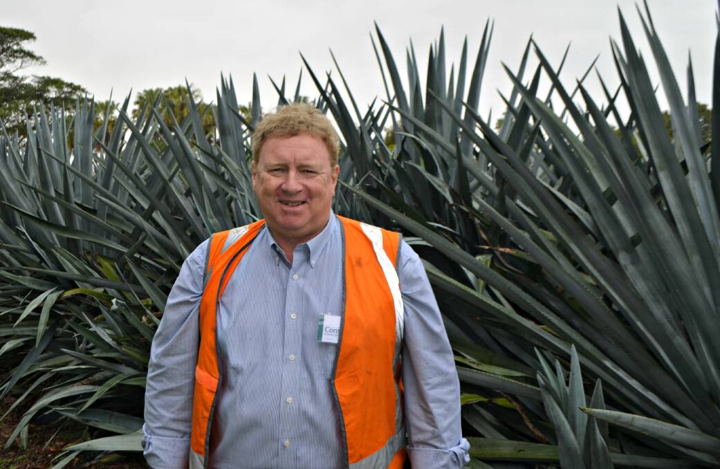 Boost for graziers: AusAgave CEO Don Chambers said he's excited about the prospects of agave as a dryland cropping option for northern beef producers and cane growers.