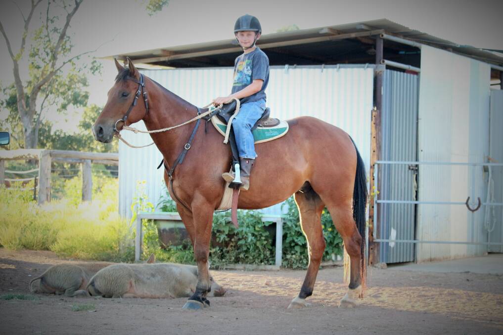Young Jake White of Charleville looking comfortable on Lot 79 Lucky Little Hickory before he prepares to travel the eight-year-old gelding to Emerald for the Ag-Grow Premier Horse Sale, being held on Saturday, July 8.